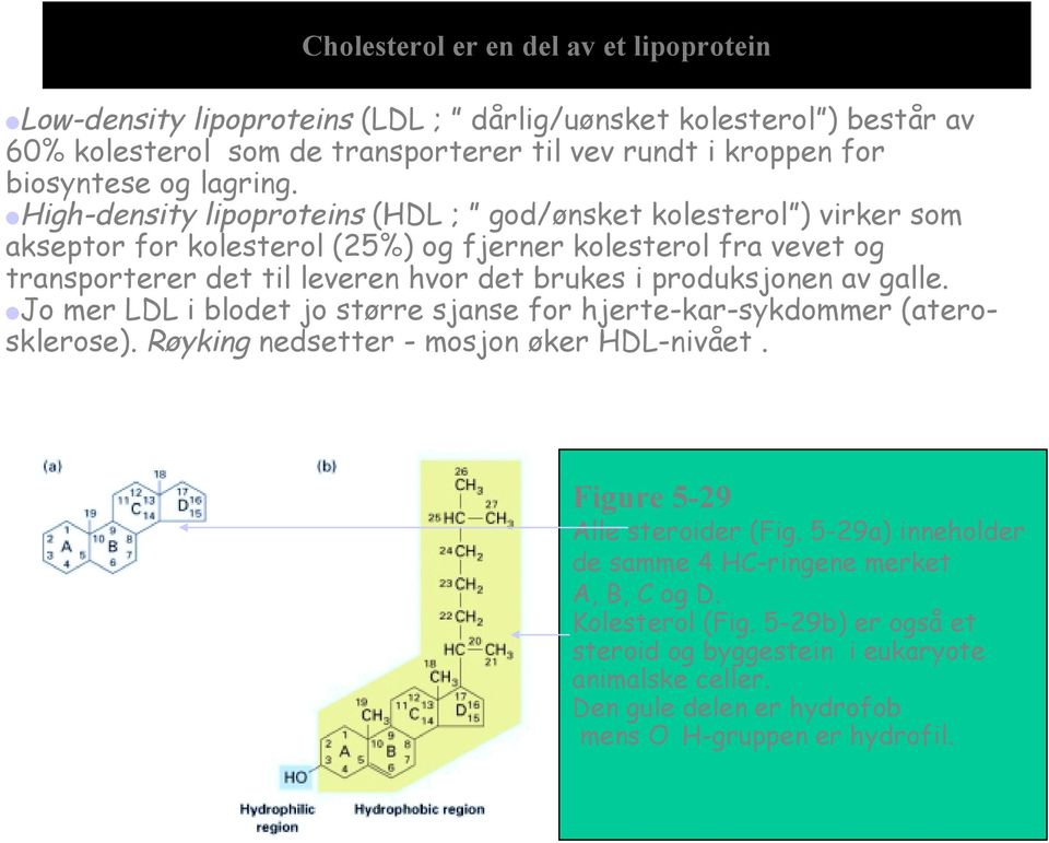 High-density lipoproteins (HDL ; god/ønsket kolesterol ) virker som akseptor for kolesterol (25%) og fjerner kolesterol fra vevet og transporterer det til leveren hvor det brukes i