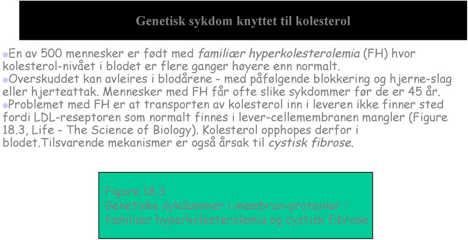 Problemet med FH er at transporten av kolesterol inn i leveren ikke finner sted fordi LDL-reseptoren som normalt finnes i lever-cellemembranen mangler (Figure 18.