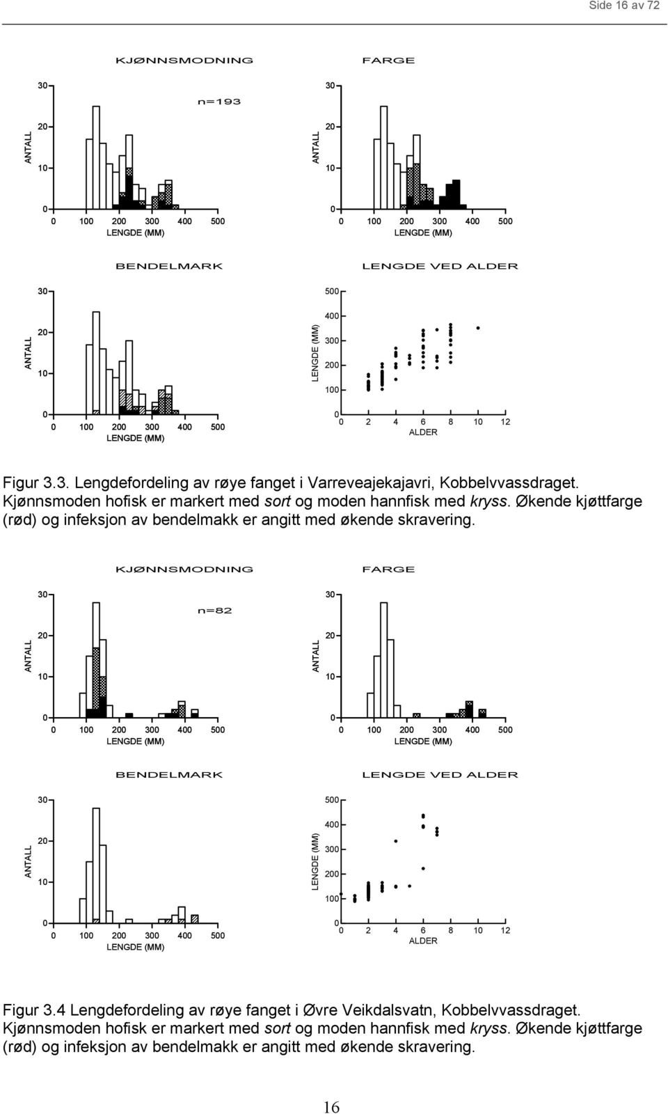 KJØNNSMODNING FARGE 3 n=82 3 2 1 2 1 1 2 3 4 5 1 2 3 4 5 3 BENDELMARK 5 LENGDE VED ALDER 2 1 1 2 3 4 5 4 3 2 1 2 4 6 8 1 12 ALDER Figur 3.