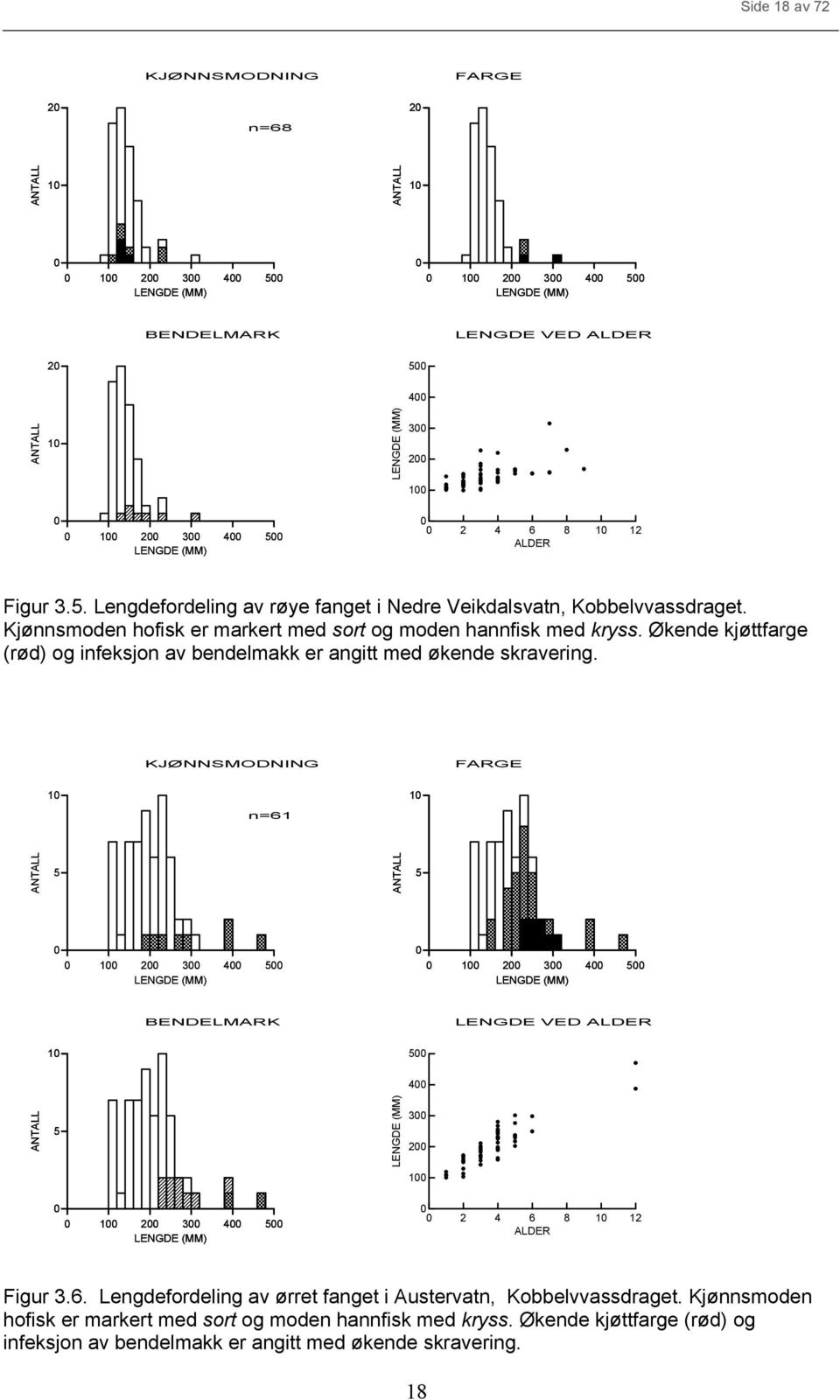 KJØNNSMODNING FARGE 1 n=61 1 5 5 1 2 3 4 5 1 2 3 4 5 BENDELMARK LENGDE VED ALDER 1 5 4 5 3 2 1 1 2 3 4 5 2 4 6 8 1 12 ALDER Figur 3.6. Lengdefordeling av ørret fanget i Austervatn, Kobbelvvassdraget.