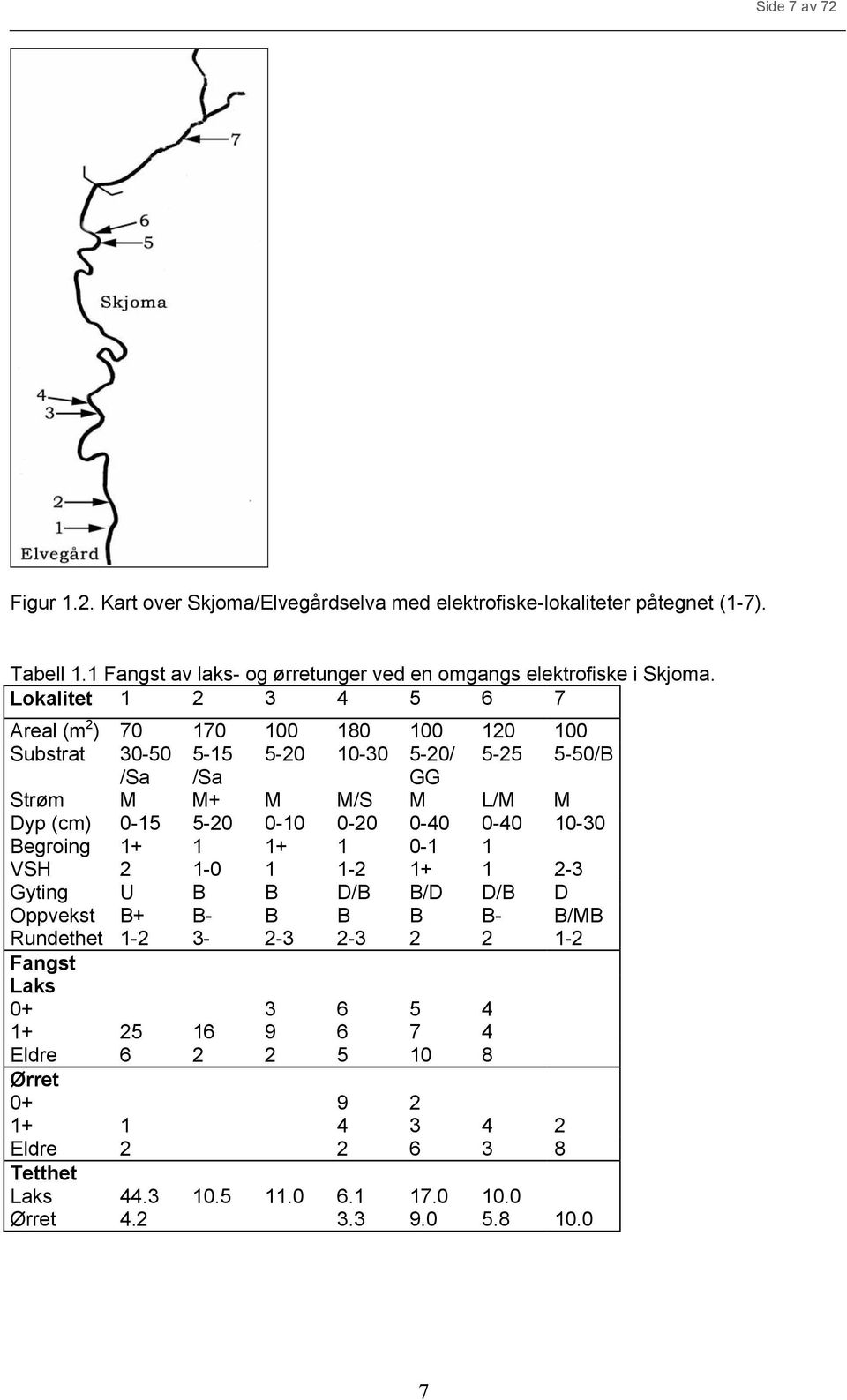 Lokalitet 1 2 3 4 5 6 7 Areal (m 2 ) 7 17 1 18 1 12 1 Substrat 3-5 5-15 5-2 1-3 5-2/ 5-25 5-5/B /Sa /Sa GG Strøm M M+ M M/S M L/M M Dyp (cm) -15 5-2 -1-2 -4-4