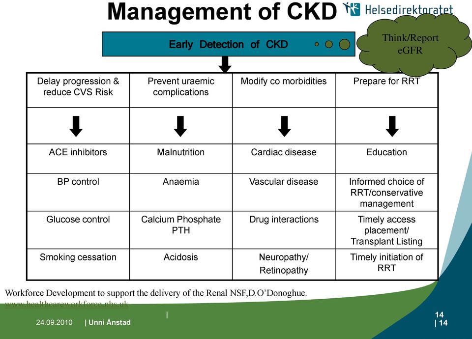 Glucose control Calcium Phosphate PTH Drug interactions Smoking cessation Acidosis Neuropathy/ Retinopathy Workforce Development to support the delivery