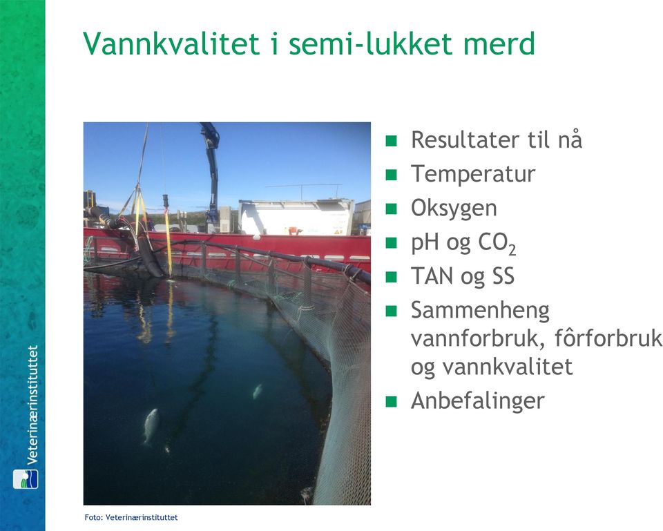 SS Sammenheng vannforbruk, fôrforbruk og