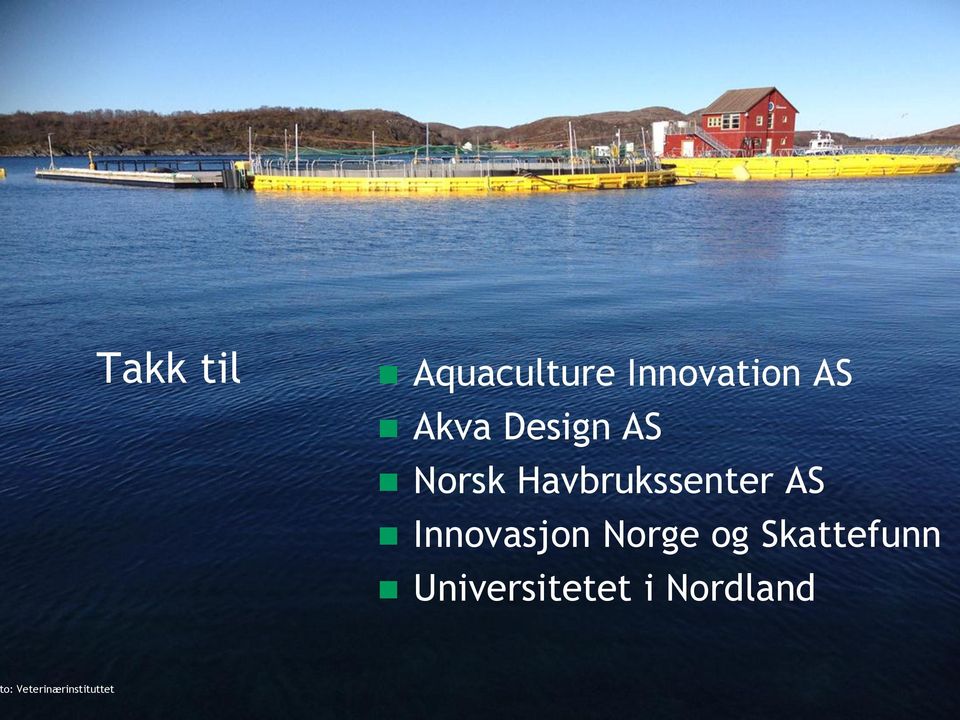 Innovasjon Norge og Skattefunn