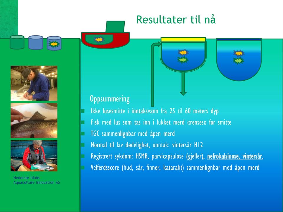 unntak: vintersår H12 Registrert sykdom: HSMB, parvicapsulose (gjeller), nefrokalsinose, vintersår,