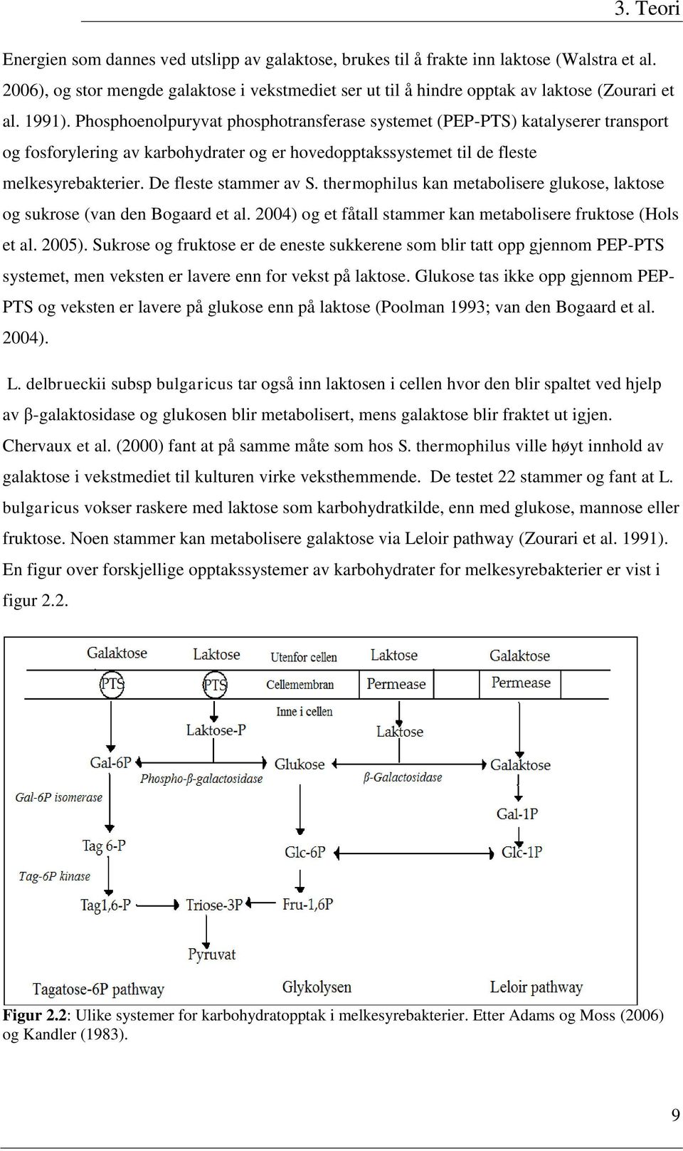 Phosphoenolpuryvat phosphotransferase systemet (PEP-PTS) katalyserer transport og fosforylering av karbohydrater og er hovedopptakssystemet til de fleste melkesyrebakterier. De fleste stammer av S.