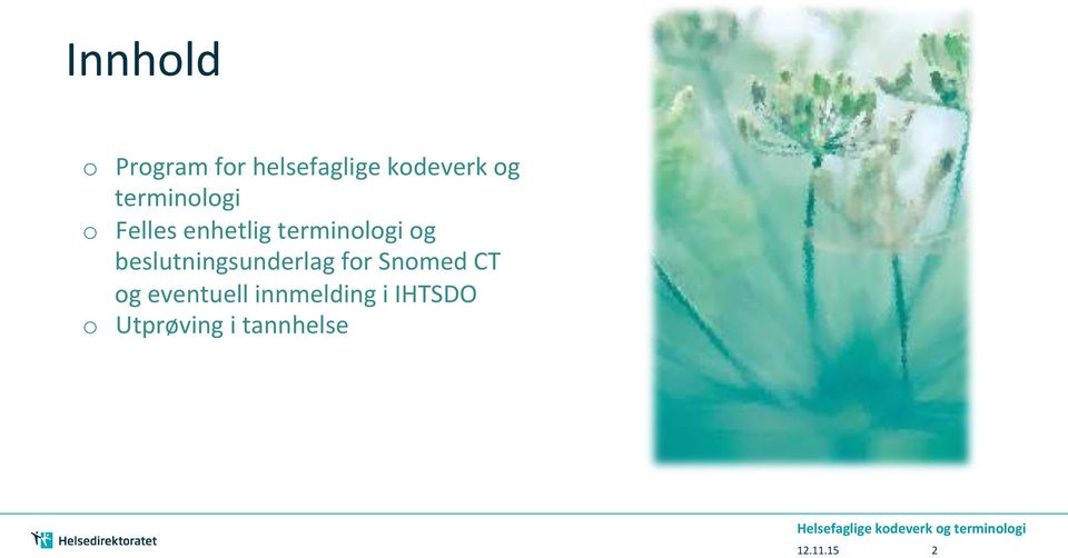 beslutningsunderlag for Snomed CT og eventuell innmelding