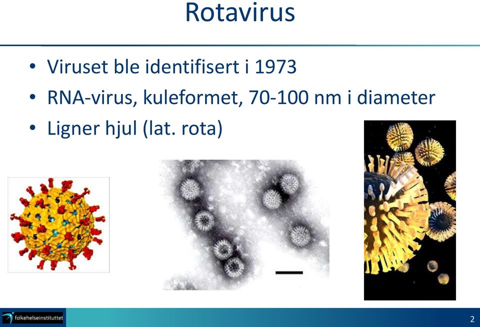 RNA-virus, kuleformet,