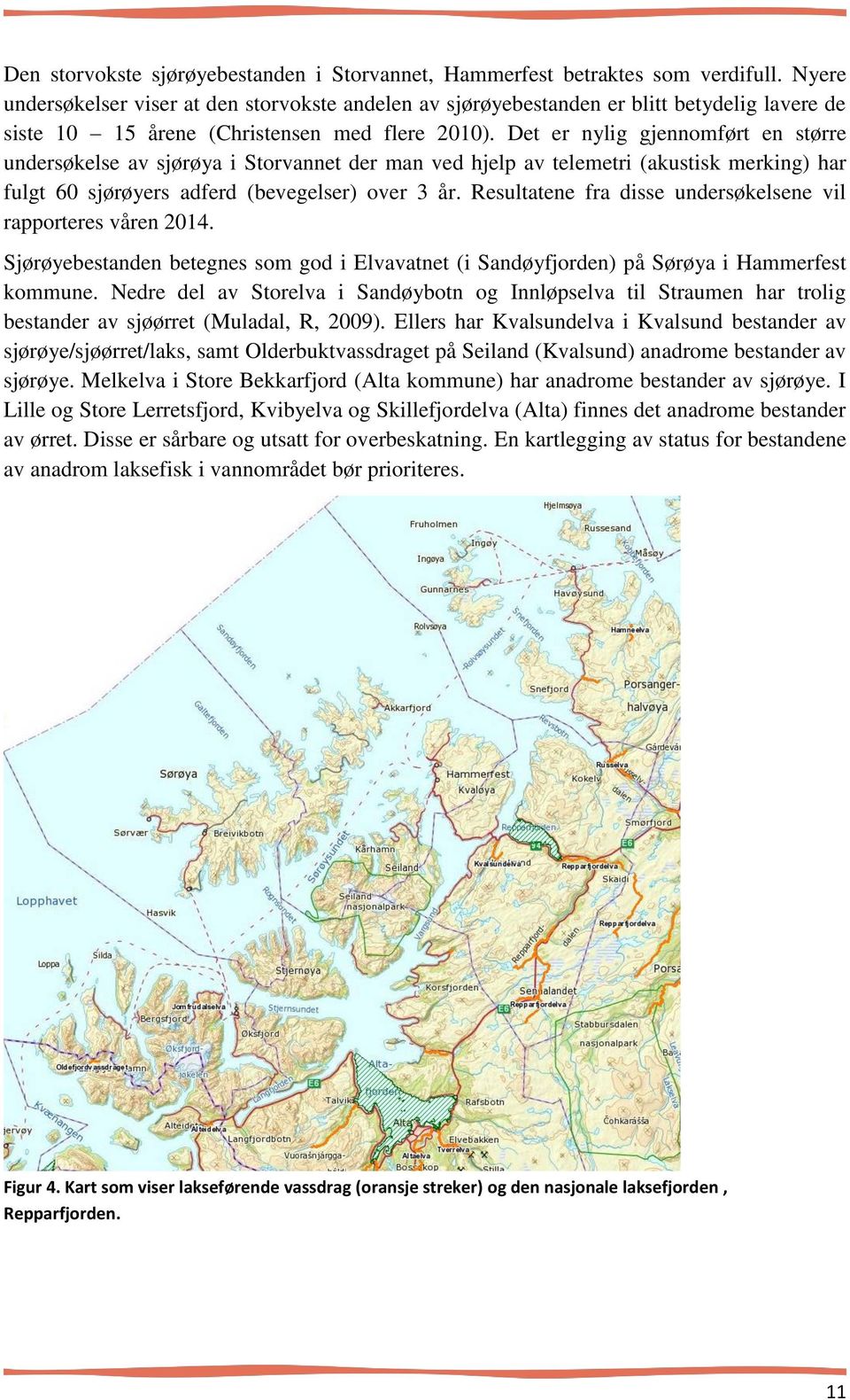 Det er nylig gjennomført en større undersøkelse av sjørøya i Storvannet der man ved hjelp av telemetri (akustisk merking) har fulgt 60 sjørøyers adferd (bevegelser) over 3 år.