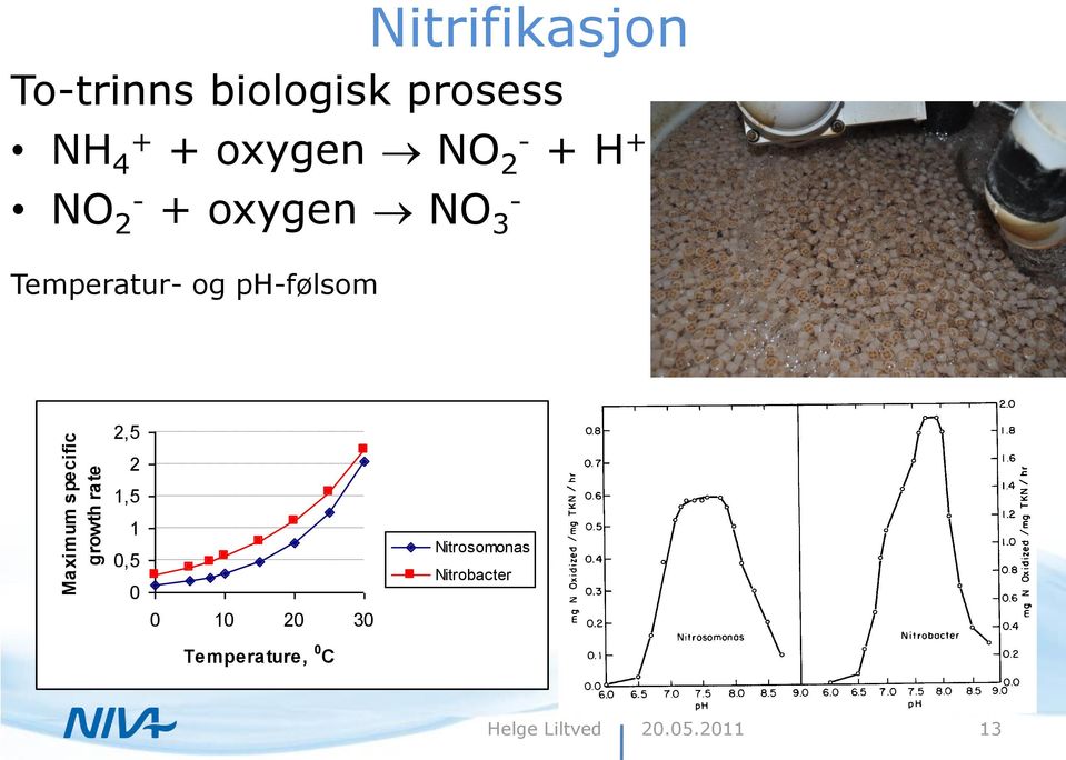 oxygen NO 3 - Temperatur- og ph-følsom 2,5 2 1,5 1 0,5