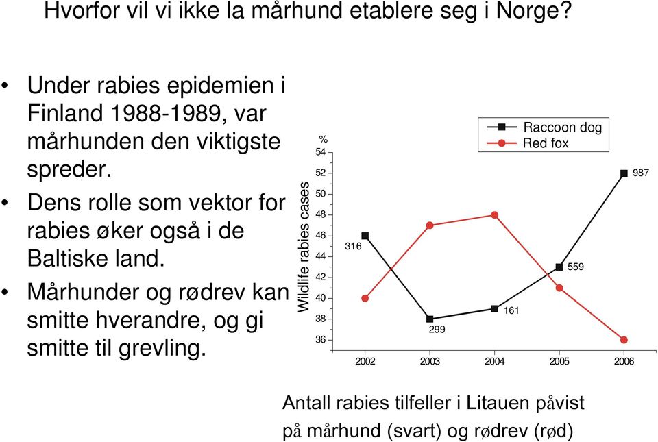 Dens rolle som vektor for rabies øker også i de Baltiske land.