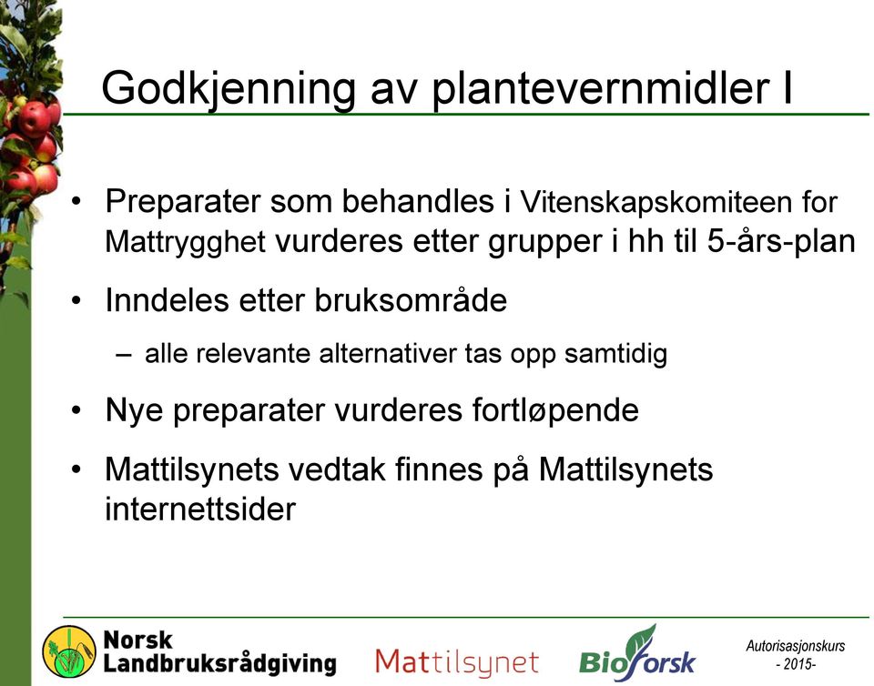 5-års-plan Inndeles etter bruksområde alle relevante alternativer tas opp