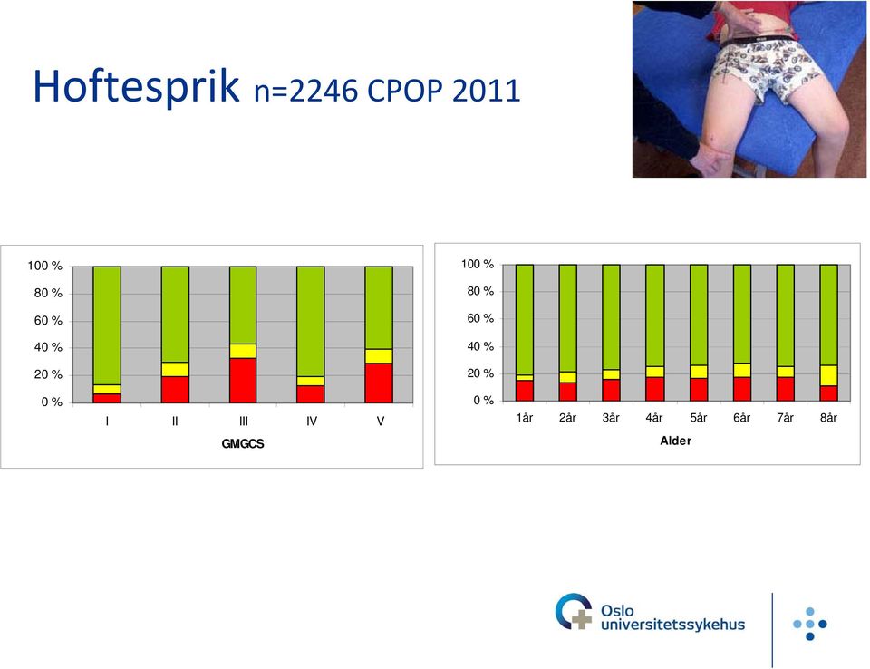 20 % 20 % 0 % I II III IV V 0 % 1år