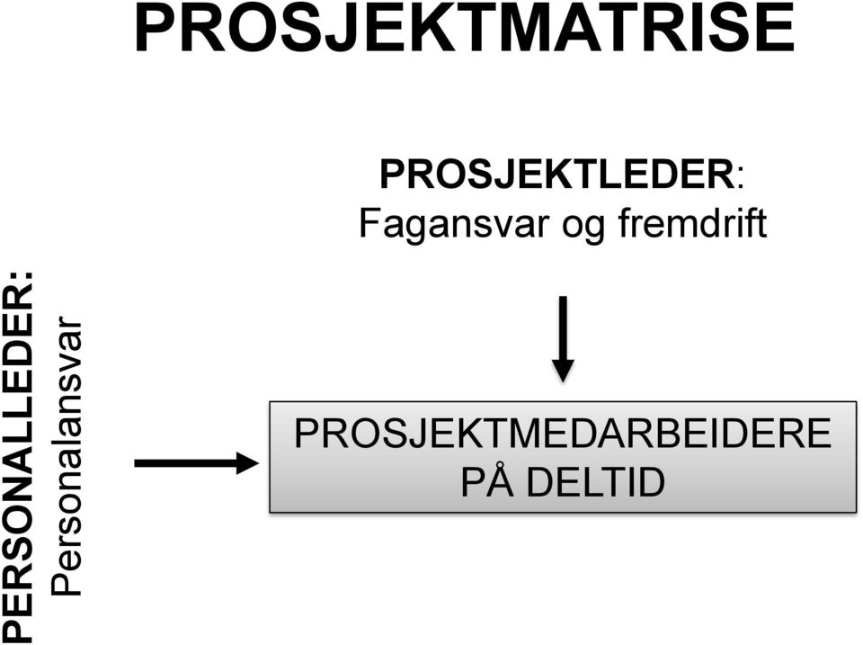 PROSJEKTMATRISE