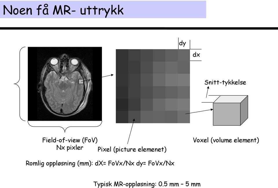 elemenet) Voxel (volume element) Romlig