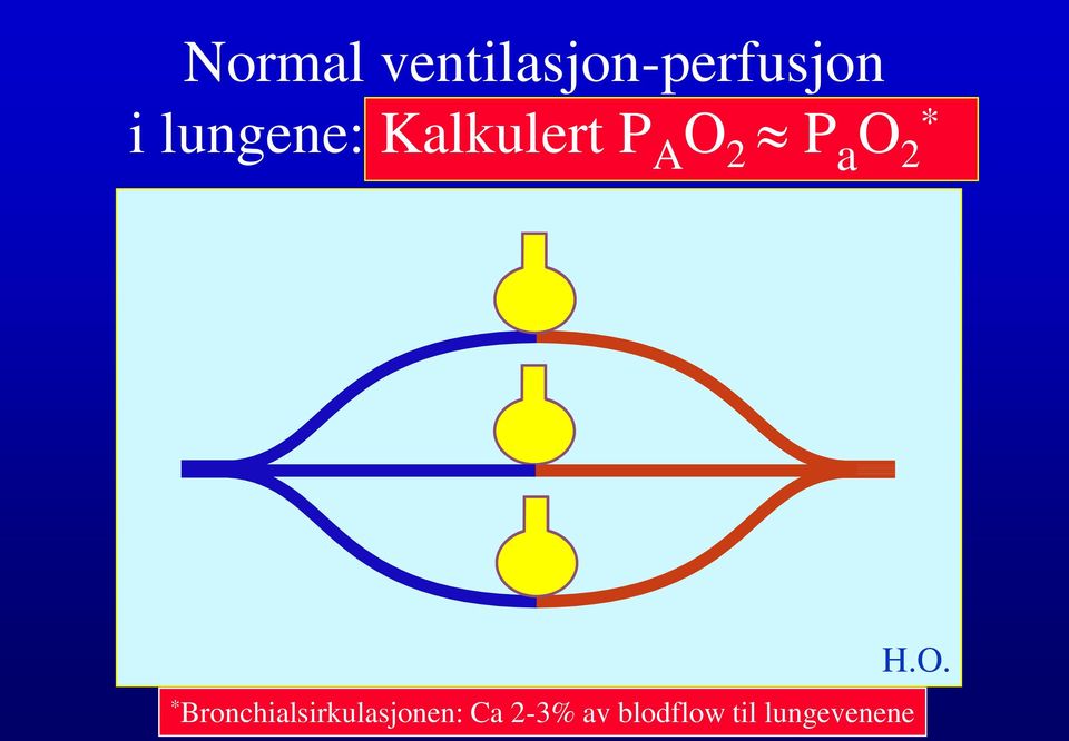 2 * * Bronchialsirkulasjonen: Ca