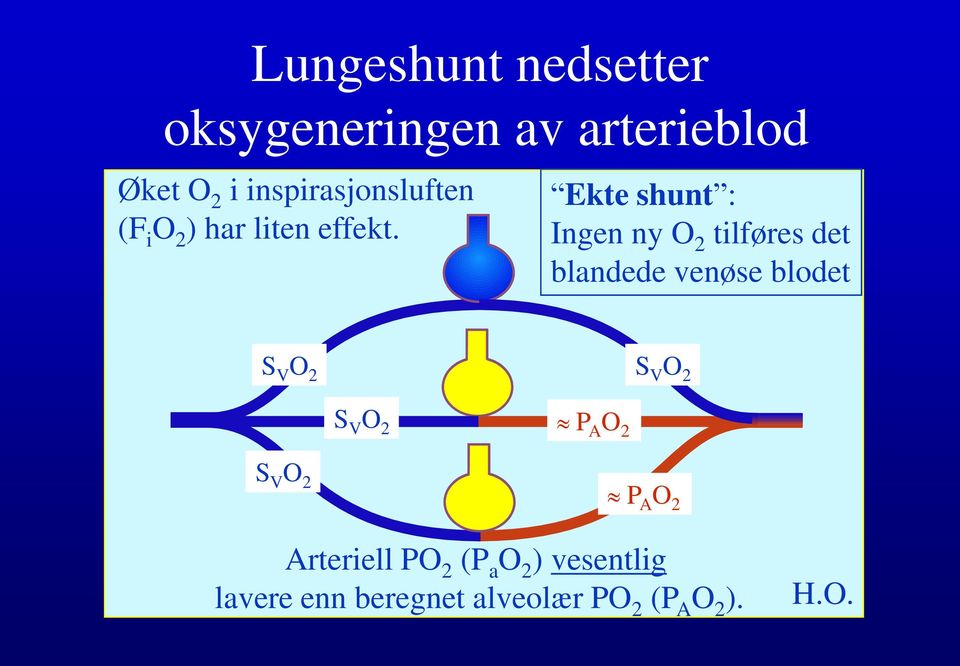 Ekte shunt : Ingen ny O 2 tilføres det blandede venøse blodet S V O 2 S V O