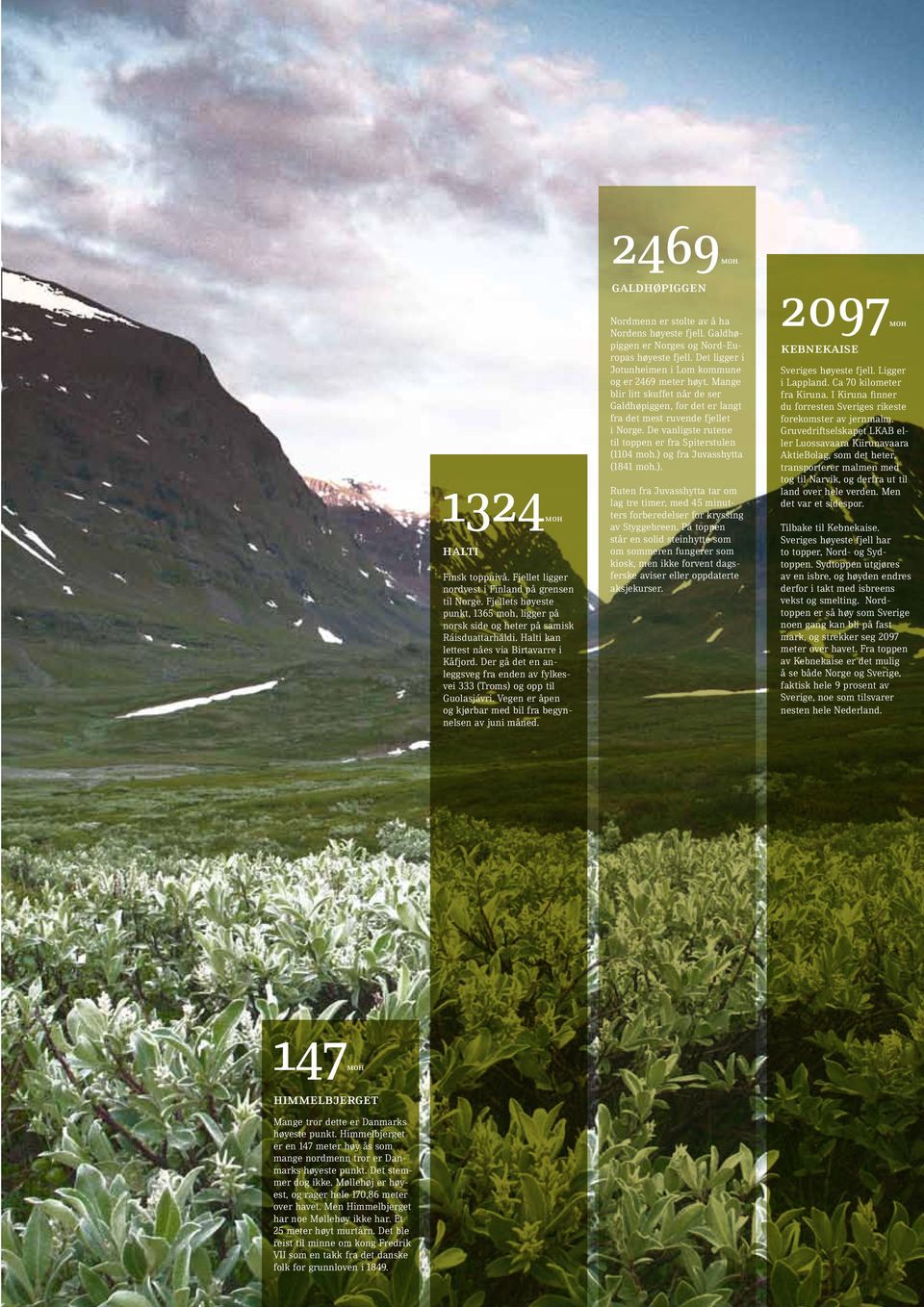 Der gå det en anleggsveg fra enden av fylkesvei 333 (Troms) og opp til Guolasjávri. Vegen er åpen og kjørbar med bil fra begynnelsen av juni måned. Nordmenn er stolte av å ha Nordens høyeste fjell.