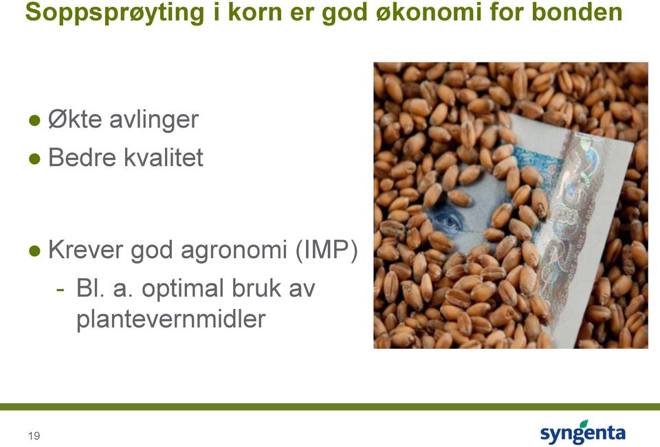 kvalitet Krever god agronomi (IMP) -