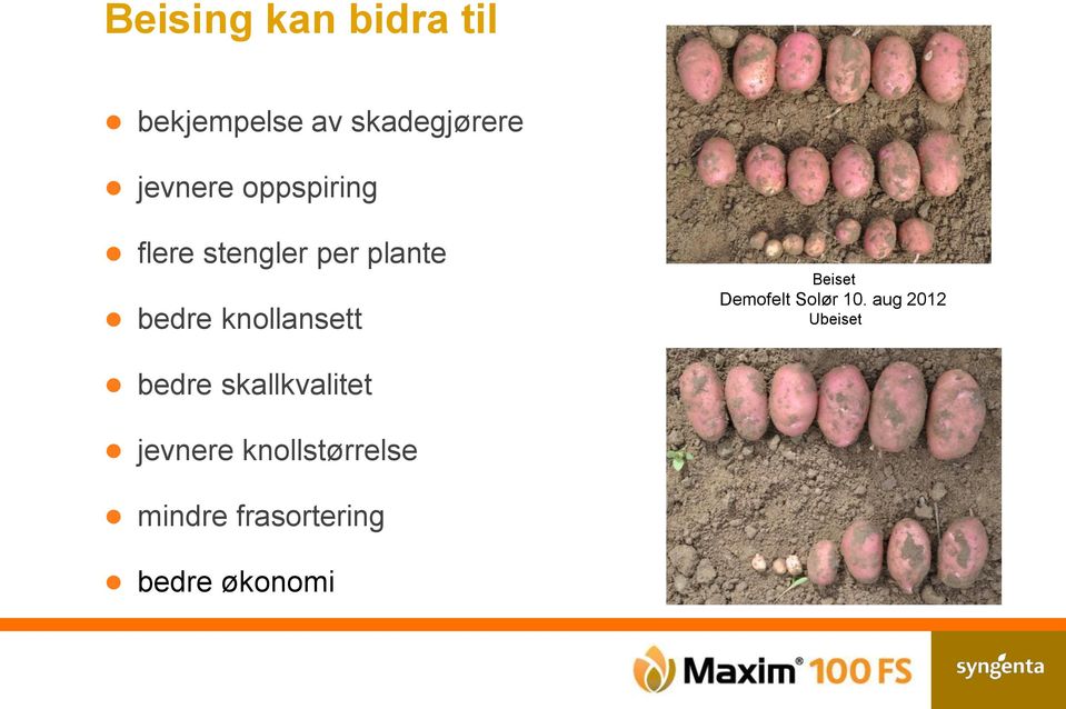 Beiset Demofelt Solør 10.