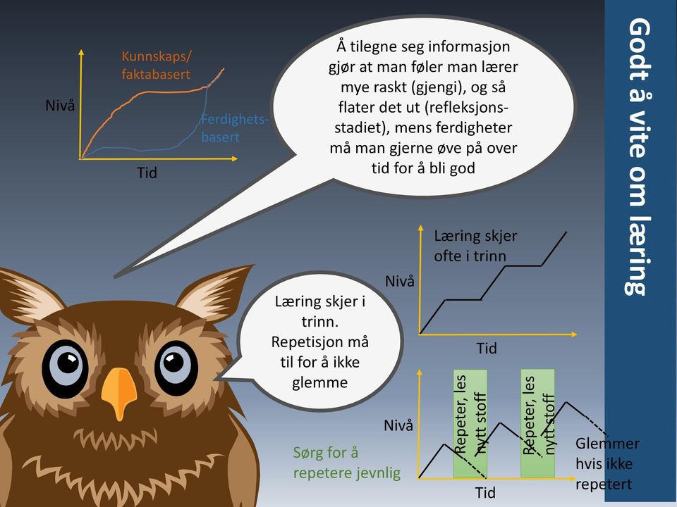 Repetisjon må til for å ikke glemme Å tilegne seg informasjon gjør at man føler man lærer mye raskt (gjengi), og