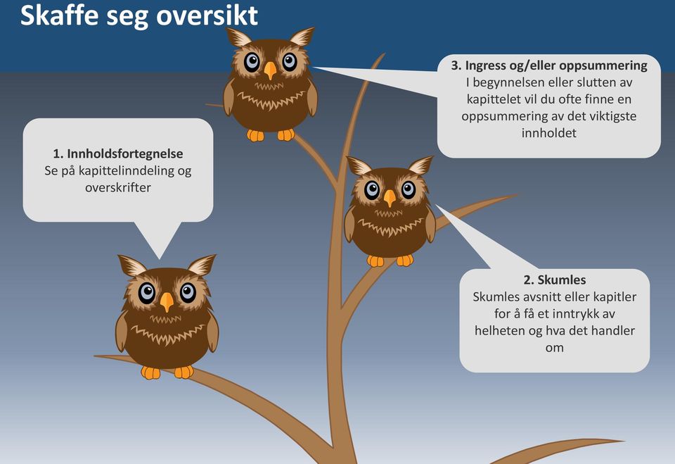 Ingress og/eller oppsummering I begynnelsen eller slutten av kapittelet vil du