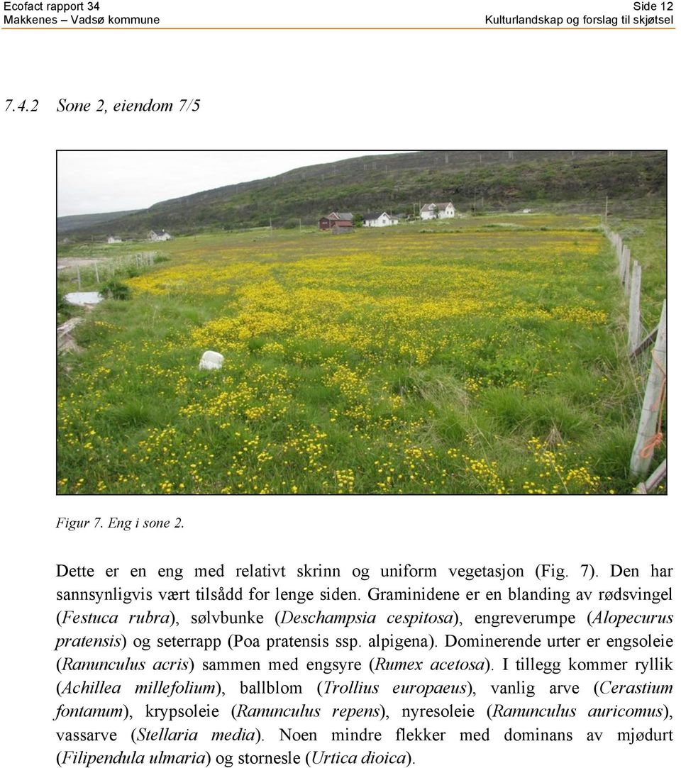 Graminidene er en blanding av rødsvingel (Festuca rubra), sølvbunke (Deschampsia cespitosa), engreverumpe (Alopecurus pratensis) og seterrapp (Poa pratensis ssp. alpigena).