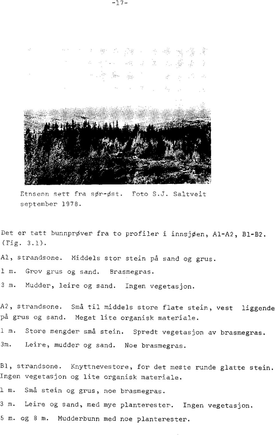 Små til middels store flate stein, vest liggende på grus og sand. Meget lite organisk materiale. 1 m. Store mengder små stein. Spredt vegetasjon av brasmegras. 3m. Leire, mudder og sand.