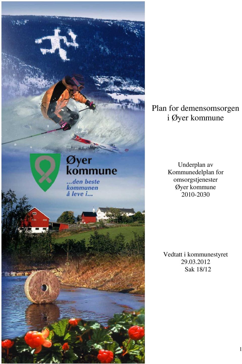 omsorgstjenester Øyer kommune 2010-2030