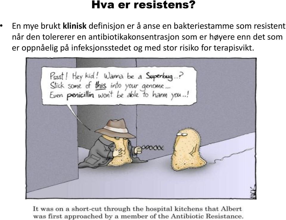 bakteriestamme som resistent når den tolererer en