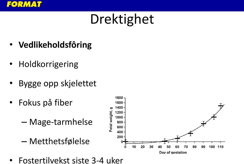 skjelettet Fokus på fiber