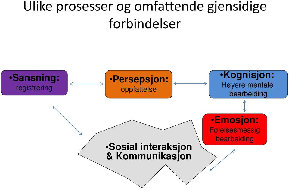 oppfattelse Kognisjon: Høyere mentale bearbeiding