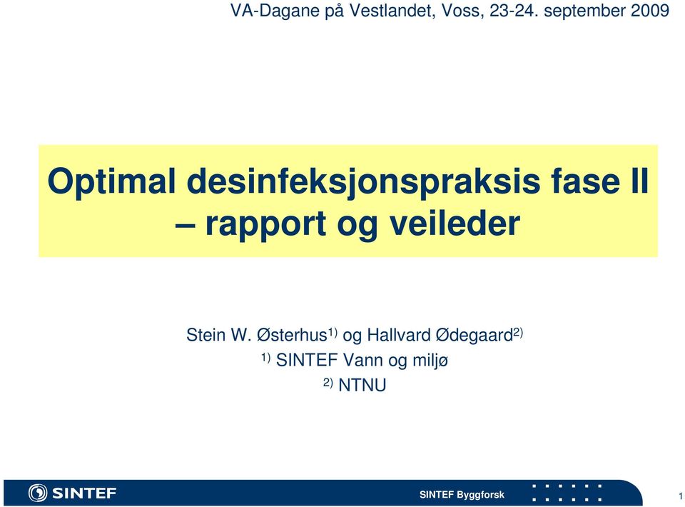 fase II rapport og veileder Stein W.