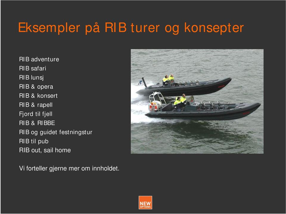 Fjord til fjell RIB & RIBBE RIB og guidet festningstur RIB