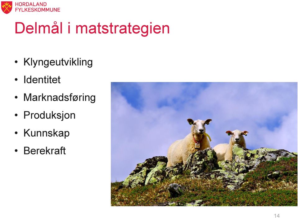 Marknadsføring Produksjon