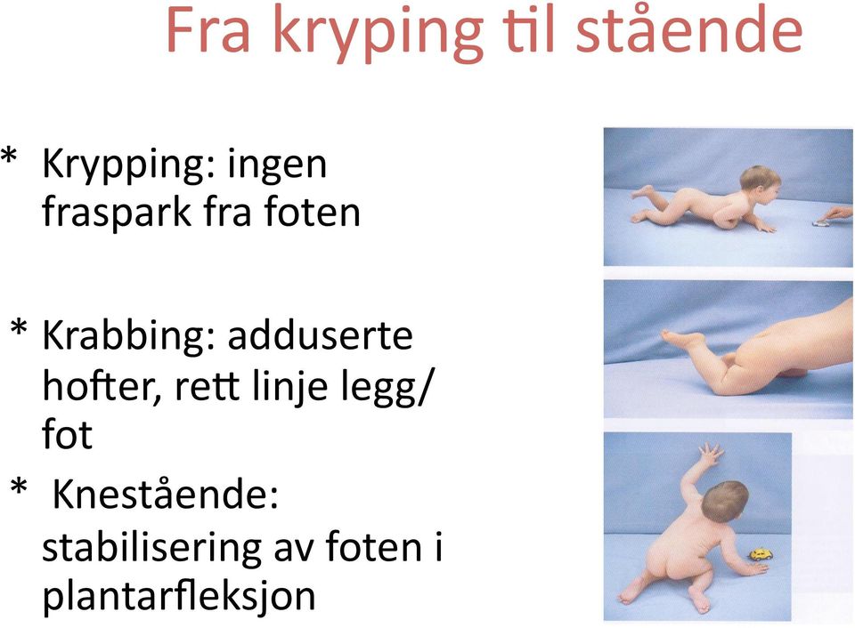 homer, reh linje legg/ fot * Knestående: