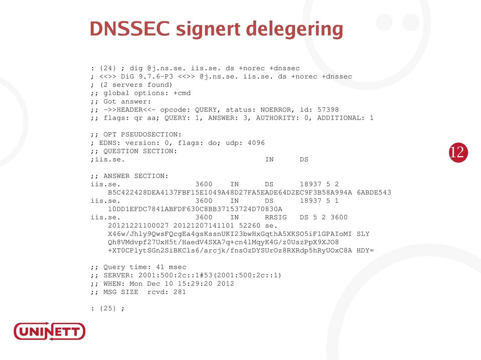 ds +norec +dnssec