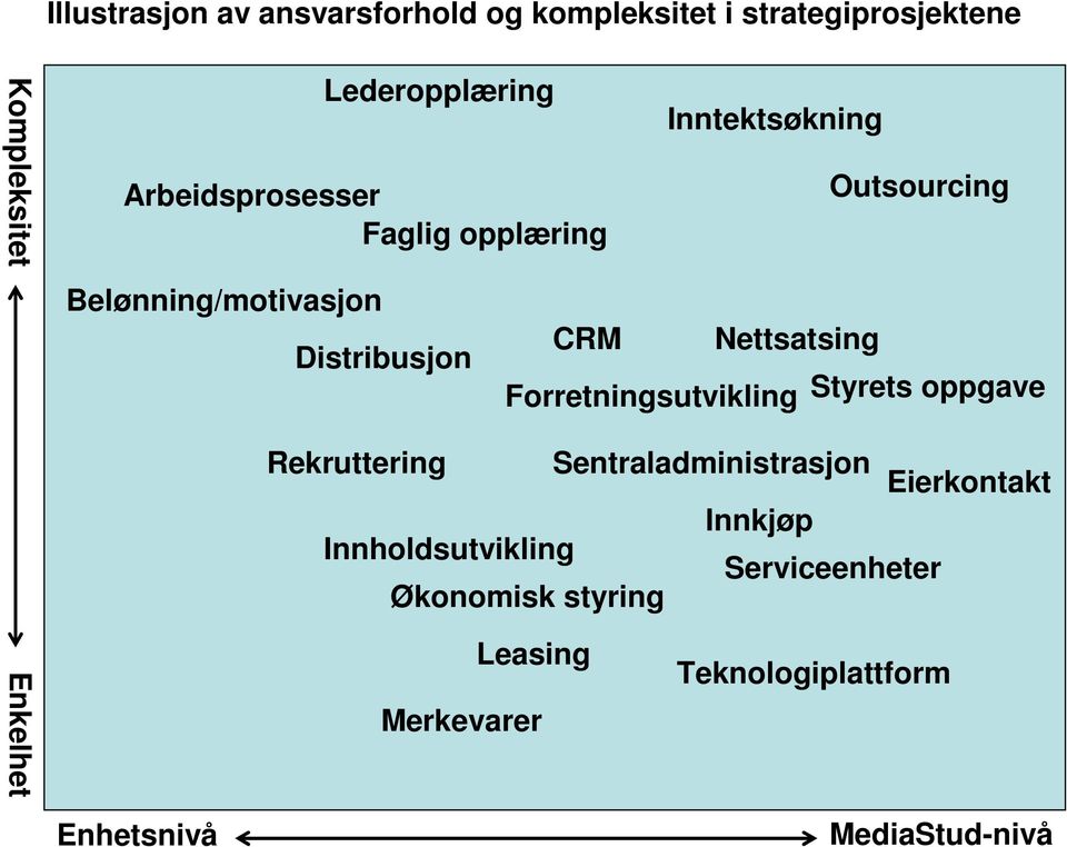 Nettsatsing Forretningsutvikling Styrets oppgave Rekruttering Sentraladministrasjon Innholdsutvikling