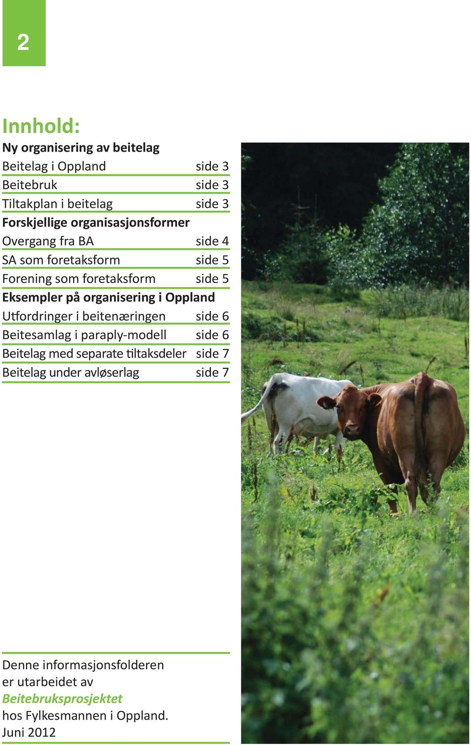 organisering i Oppland U ordringer i beitenæringen side 6 Beitesamlag i paraply-modell side 6 Beitelag med separate ltaksdeler