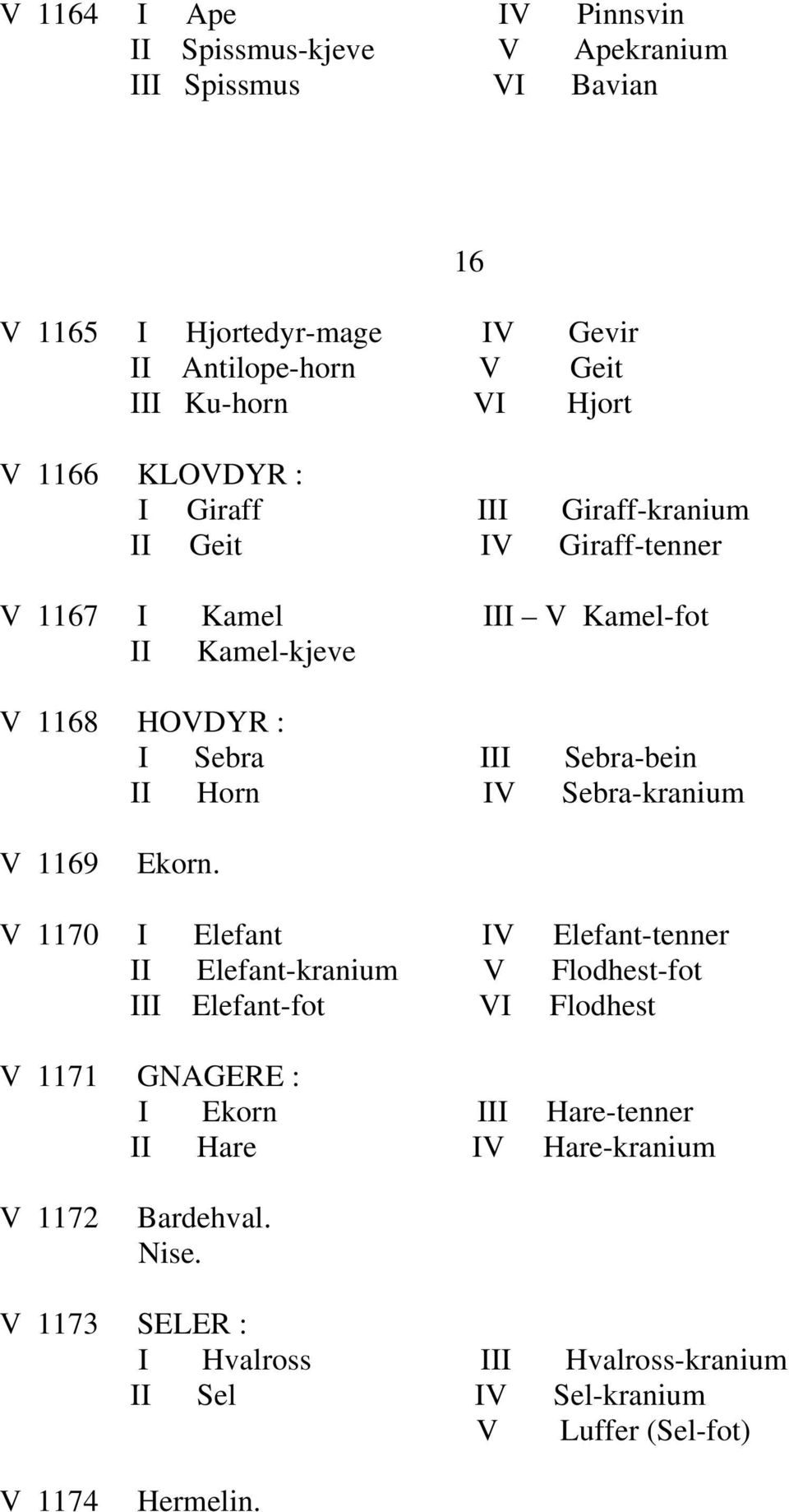 IV Sebra-kranium 16 V 1169 Ekorn.