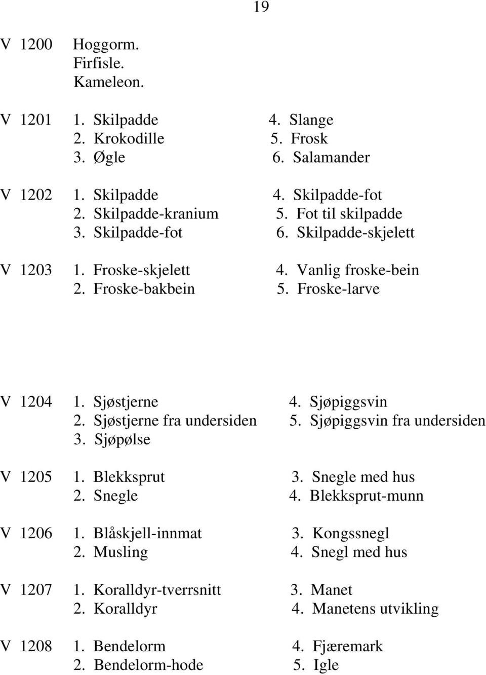 Sjøstjerne 4. Sjøpiggsvin 2. Sjøstjerne fra undersiden 5. Sjøpiggsvin fra undersiden 3. Sjøpølse V 1205 1. Blekksprut 3. Snegle med hus 2. Snegle 4.