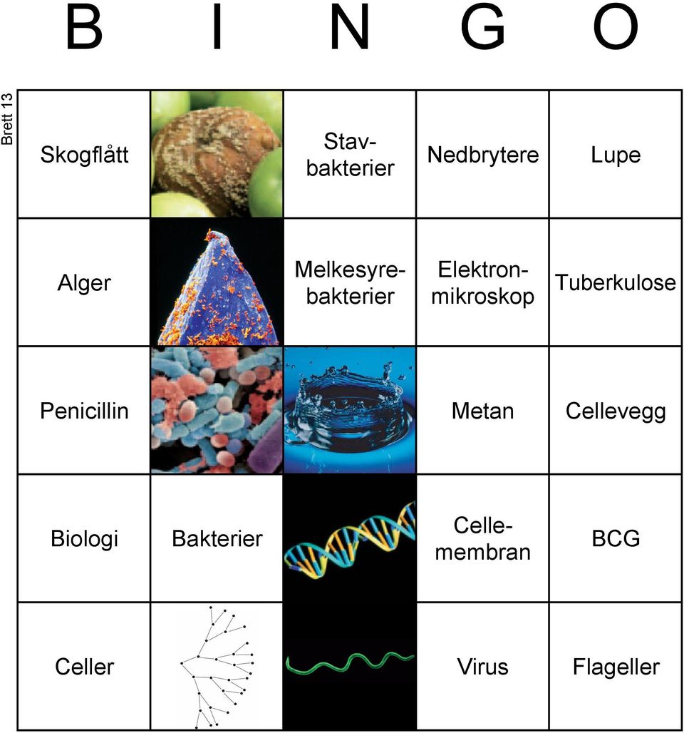 Penicillin 2 Metan Cellevegg