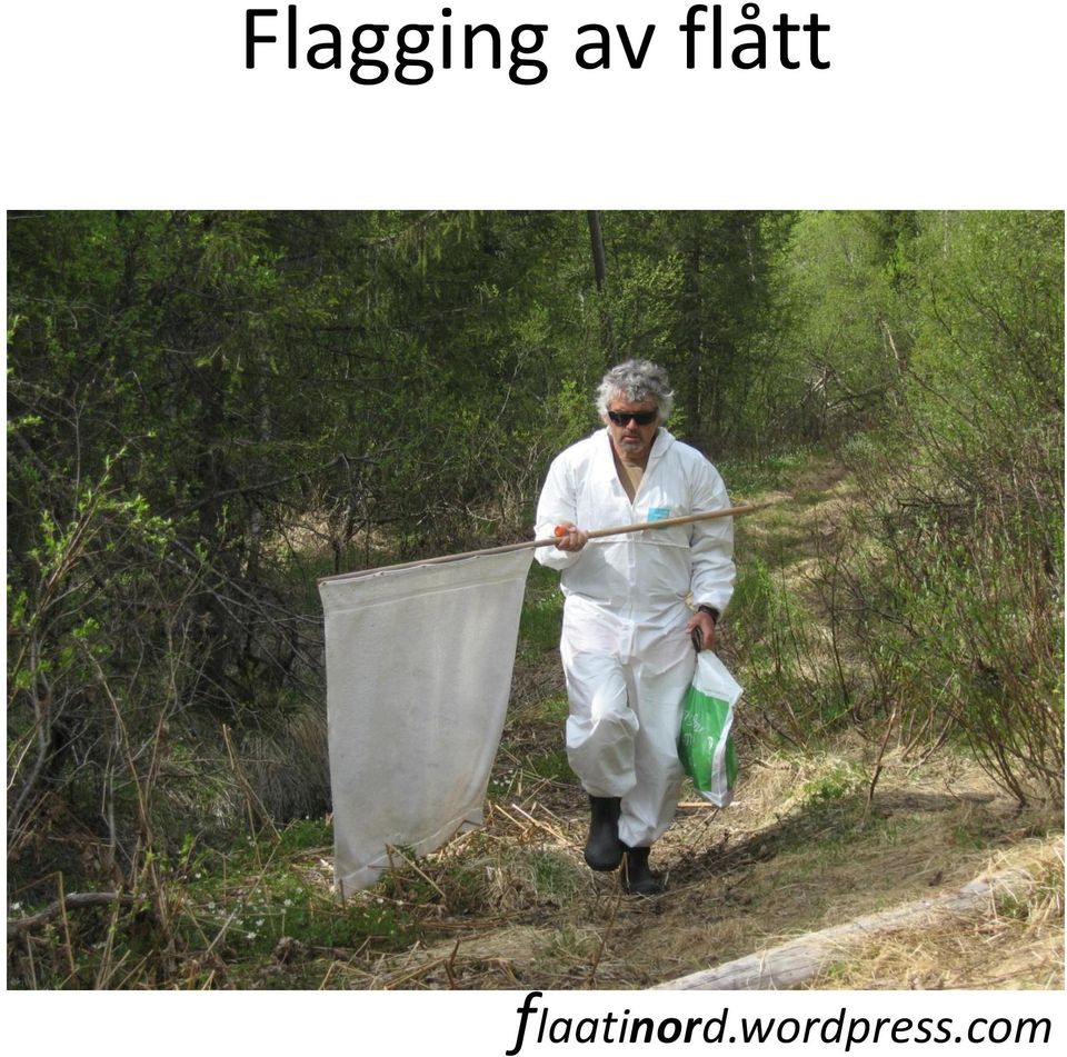 flaatinord.