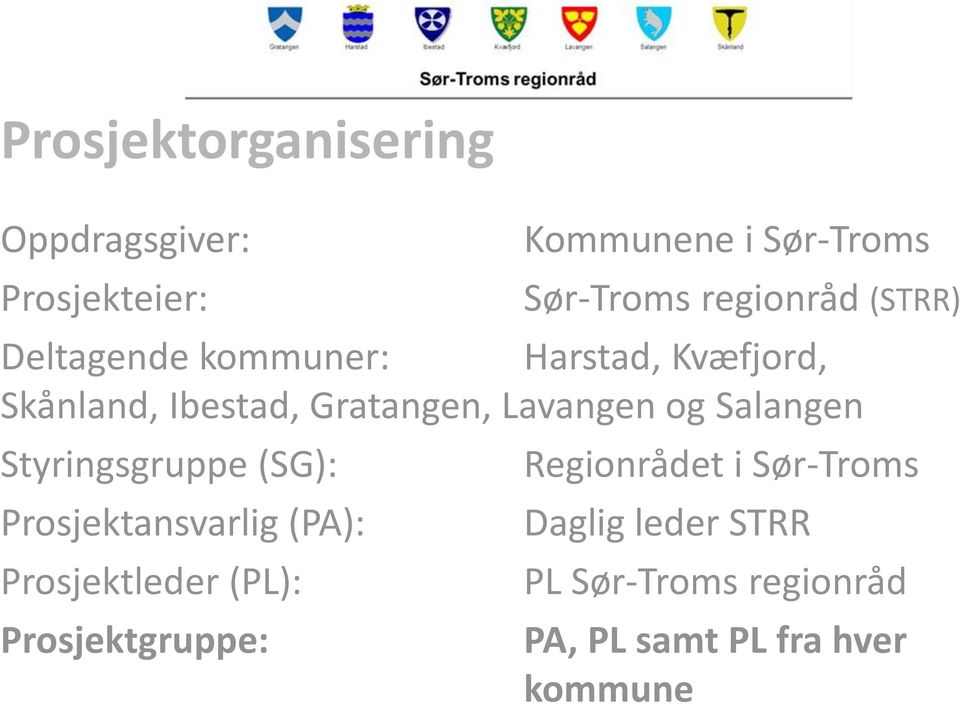 Salangen Styringsgruppe (SG): Prosjektansvarlig (PA): Prosjektleder (PL): Prosjektgruppe: