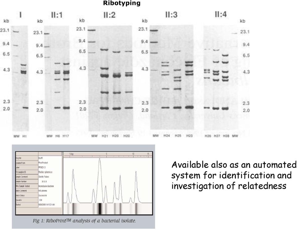 system for