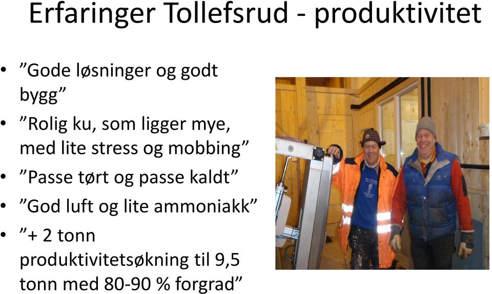 mobbing Passe tørt og passe kaldt God luft og lite