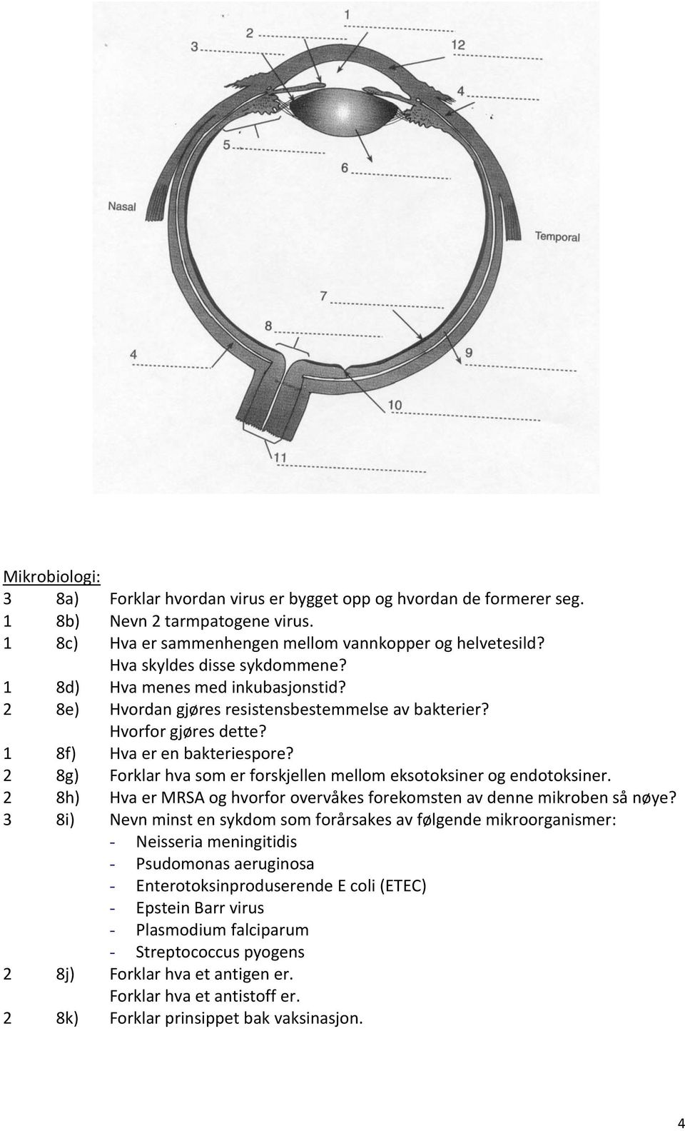 2 8g) Forklar hva som er forskjellen mellom eksotoksiner og endotoksiner. 2 8h) Hva er MRSA og hvorfor overvåkes forekomsten av denne mikroben så nøye?