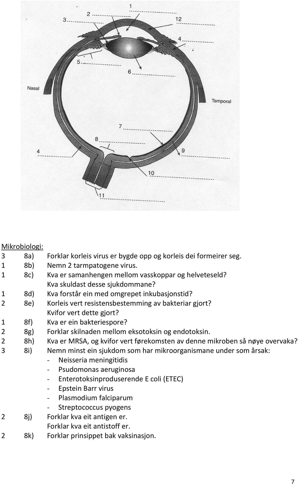 2 8g) Forklar skilnaden mellom eksotoksin og endotoksin. 2 8h) Kva er MRSA, og kvifor vert førekomsten av denne mikroben så nøye overvaka?