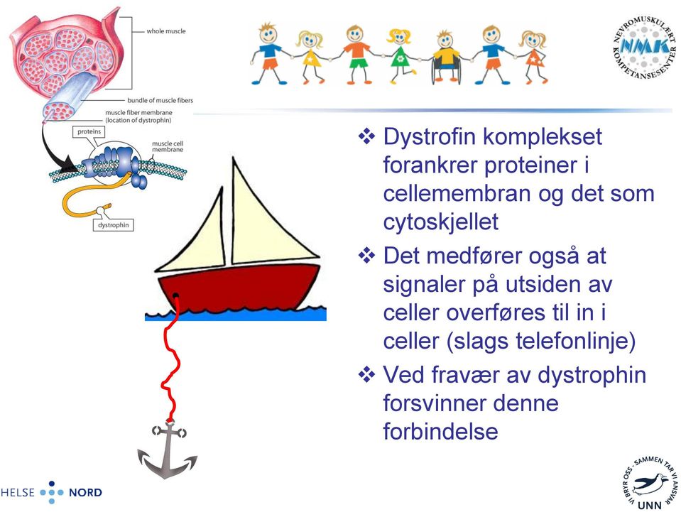 utsiden av celler overføres til in i celler (slags