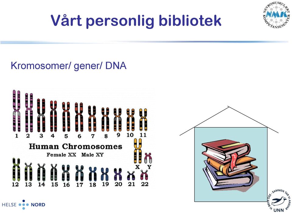 bibliotek